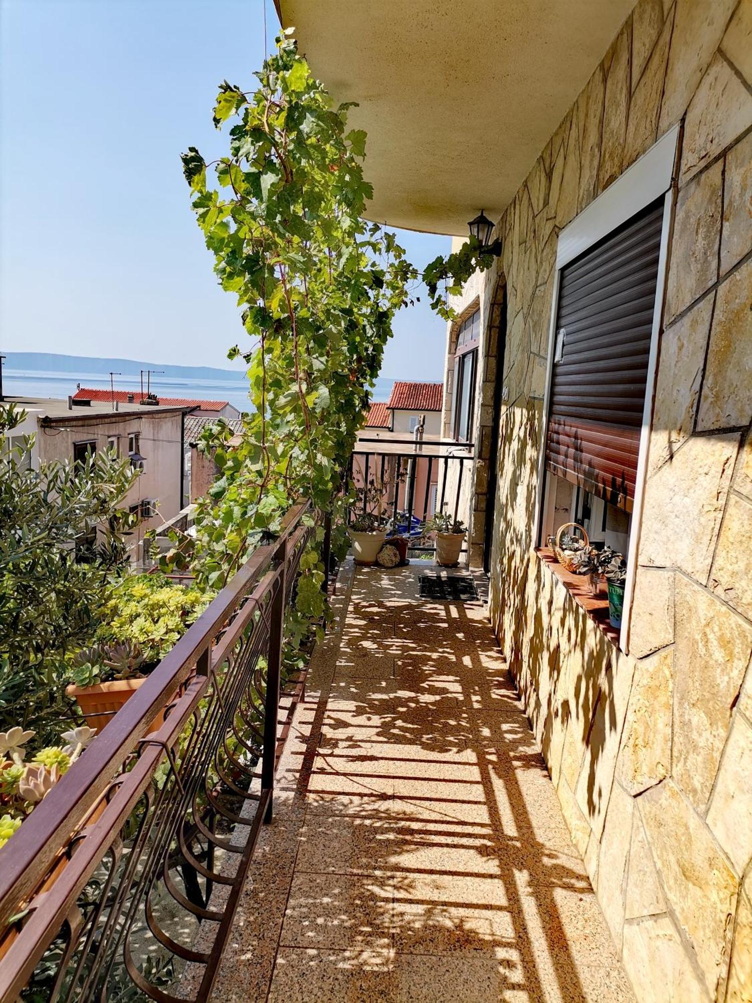 Villa Mia Makarska Extérieur photo